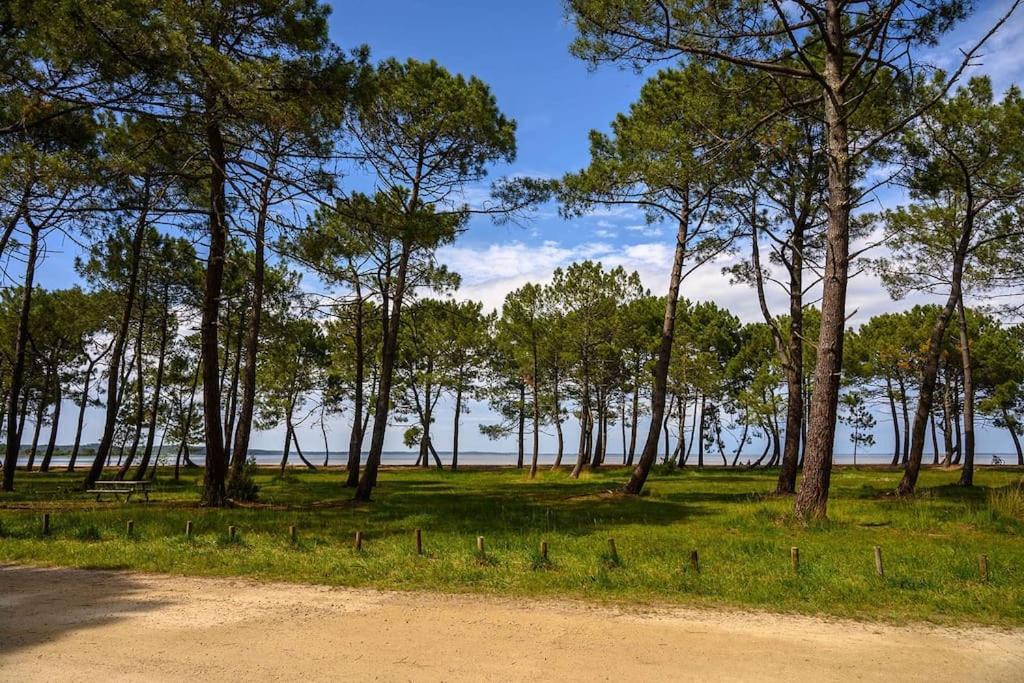 Appartement Des Grands Lacs Sanguinet Zewnętrze zdjęcie